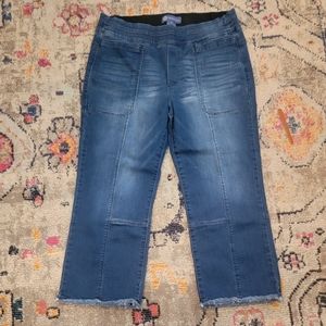 Democracy ab solutions cropped jeans sz 14